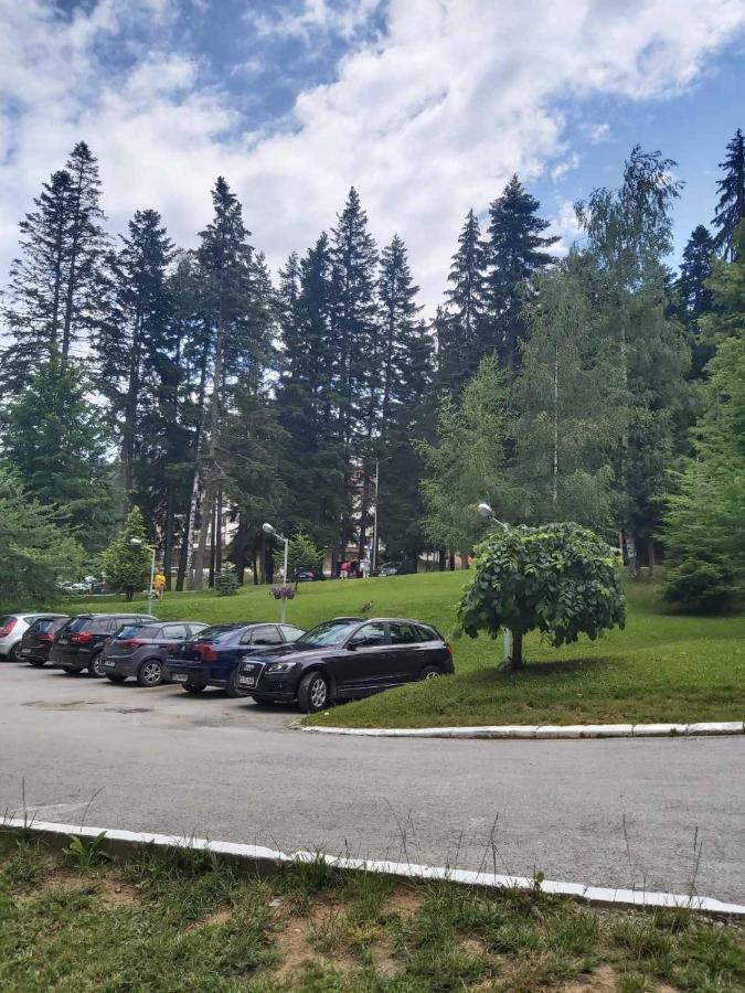 Premium Apartment In Borovets Gardens Complex Ngoại thất bức ảnh